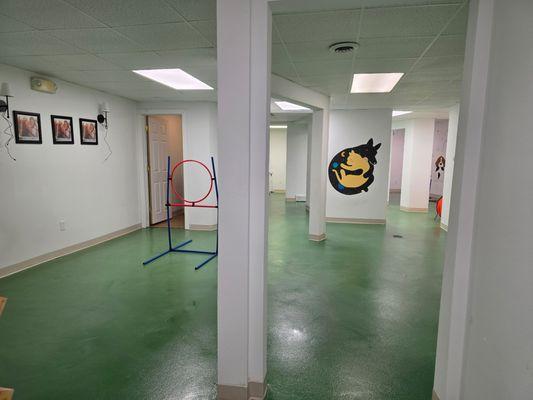 More space for pups to play