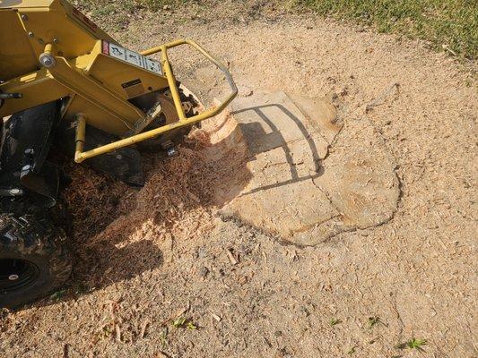 Nunez Stump Removal N More