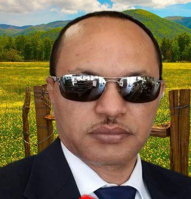 Shegalu Accounting & Tax Services