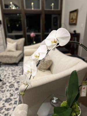 Ackerman Custom Paint and Wallpapering