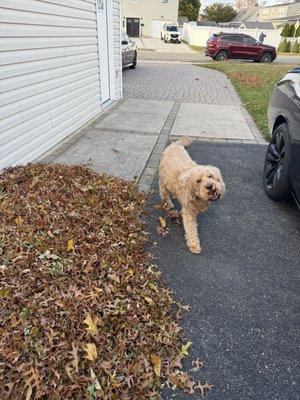 RYCO's Escape Room & Lounge