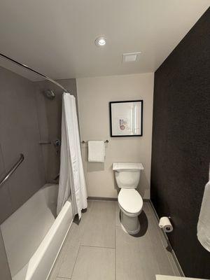 Sheraton Park Hotel at the Anaheim Resort