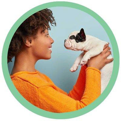 Dolphin Waters Healing