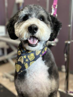 Mac is such a good boy!