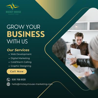 Mickey Mouse Marketing