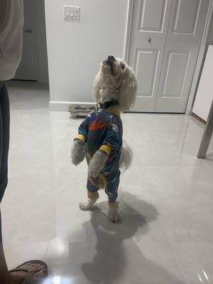 Kirby Veterinary Hospital