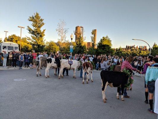 Ridgeway - West Trailhead
