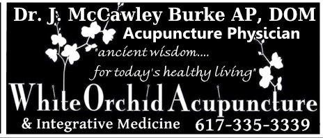 White Orchid Acupuncture
