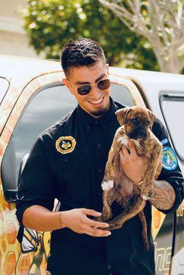 Mega Bee Rescues & Pest Control