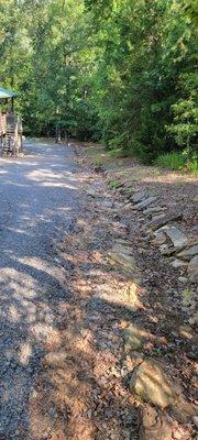 All You Need Lawn Care