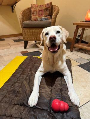 Kindred Spirits Healing Arts