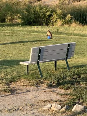 Kiley Ranch Golf Club