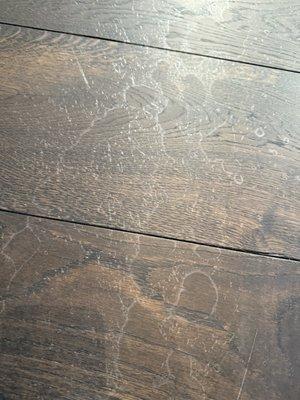 Extraordinarily Clean