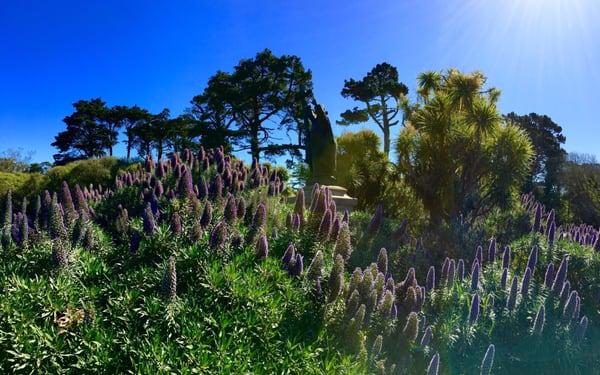 Padre Junipero Serra Monument
