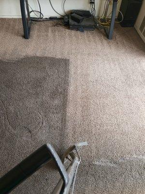 O'Neil Carpet Cleaning