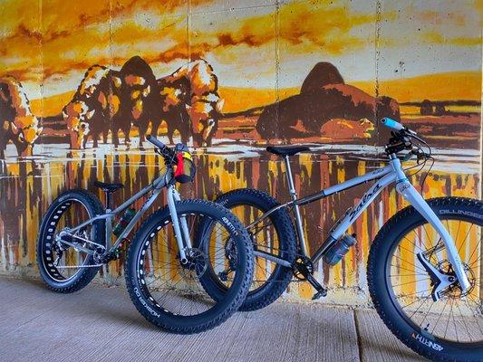 Bikes I have had built and serviced at Alpha