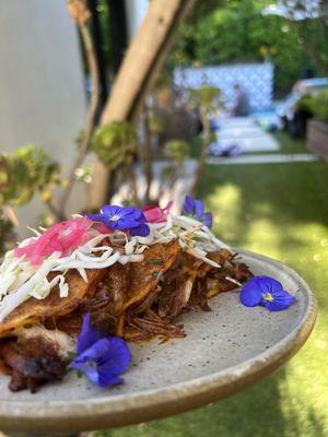 Birria Tacos
