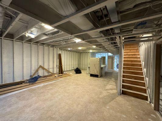 Soflo Mold Specialist