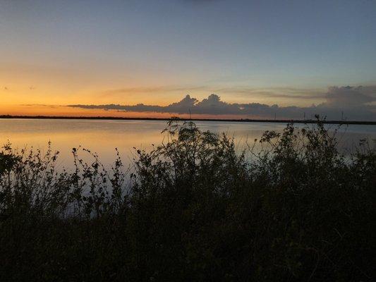 Holey Land Wildlife Management Area