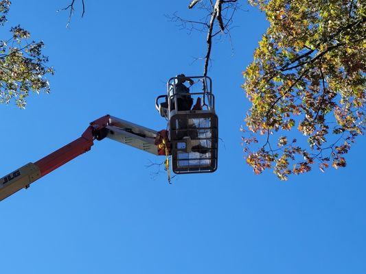 All Family Home Improvements