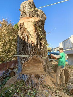 Jeppson Brothers Tree Removal
