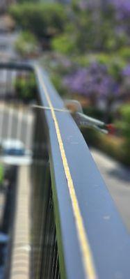 Begin laying out Cobb LED tape lights...