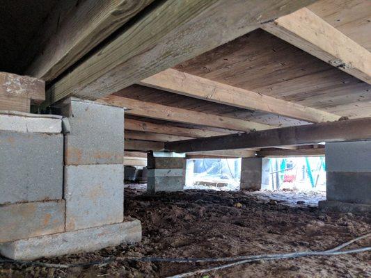 Texas Foundation Pro