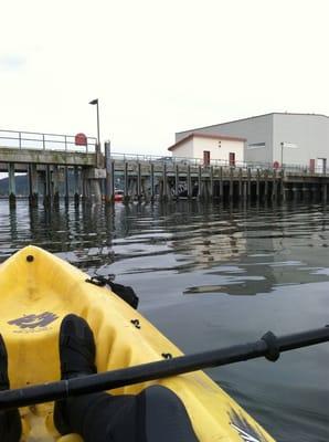 United States Coast Guard
