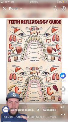 Mouth Body Connection.