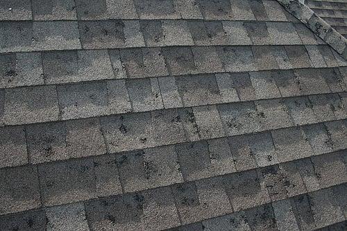 Hail Dzmaged Shingles