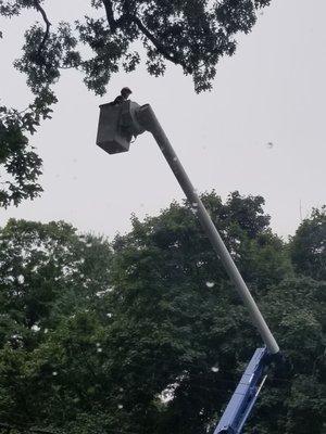 Skyview Tree Service Inc