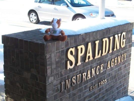 Spalding Insurance