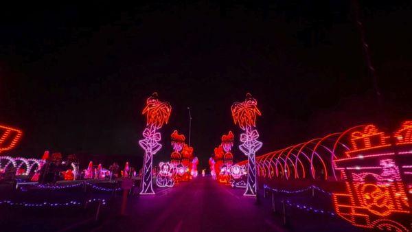 Enchanted Safari by World of Illumination | Rees's Roots