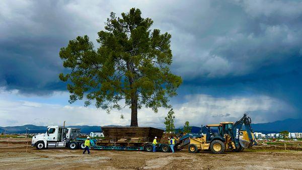 Landscape Craft Studio