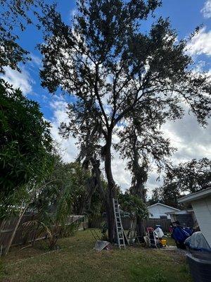 DR Florida Multi Services