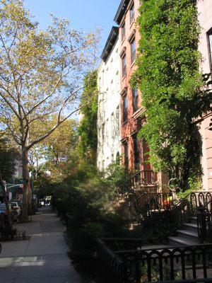 Jeff VanDyke Massage and Acupuncture