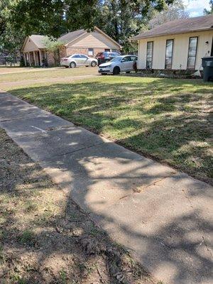 Nature Guy Landscaping