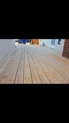 Sapwood Tree Care And Landscape