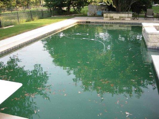 Next Level POOL Service