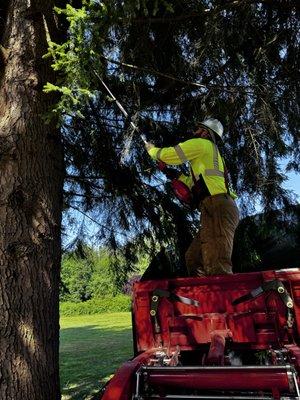 Jake's Tree Service