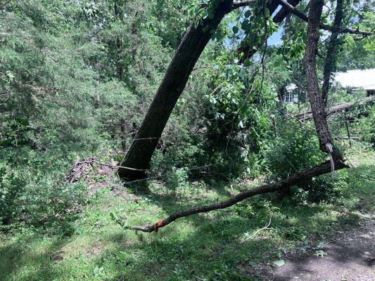 Blau & Sons Outdoor Services