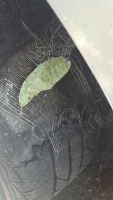 Liberty Towing & Recovery