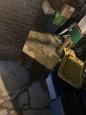 Flooding basement not disclosed