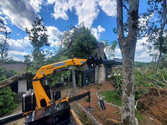 A1 Tree Removal