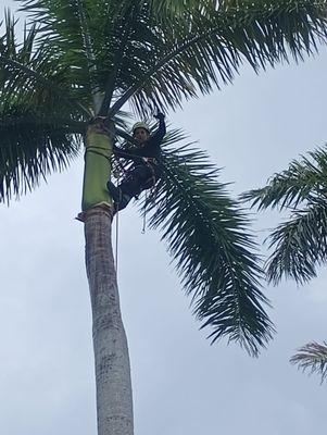 True Quality Landscaping