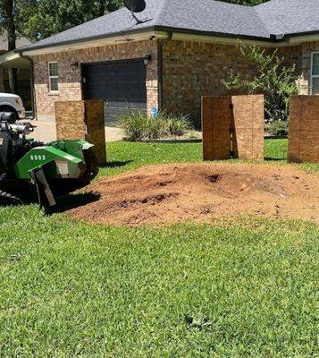 Valley stump removal