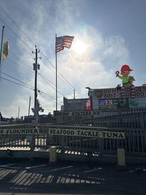 Aunt Margies Bait Camp