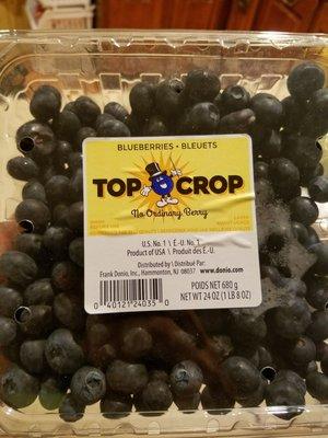 The top crop in my dominatrix studio is a riding crop.