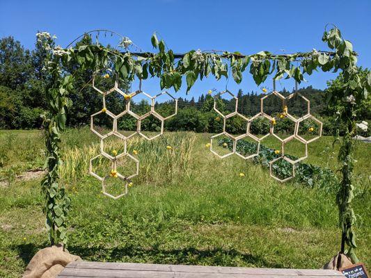 Oxbow Farm & Conservation Center