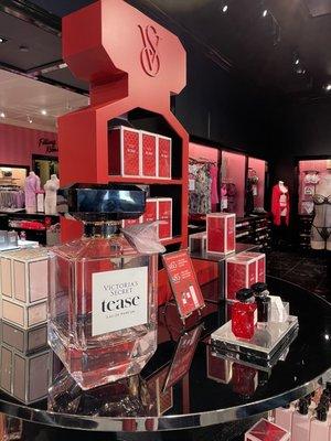 Victoria's Secret & PINK